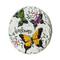 Glitzhome&#xAE; 9.75&#x22; Butterflies &#x26; Dragonflies Patterned Cement Stepping Stones Set